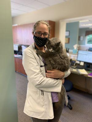 Colony Animal Hospital