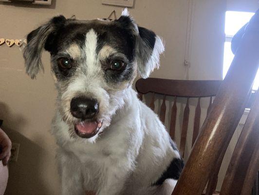 Manchester Animal Hospital