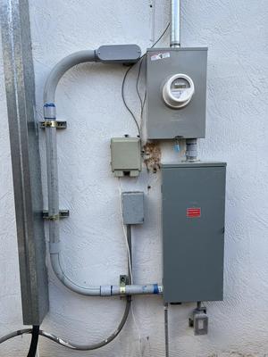 Running Bird Electric