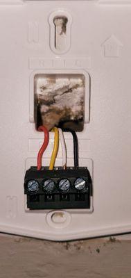 Solution Pros Hawaii