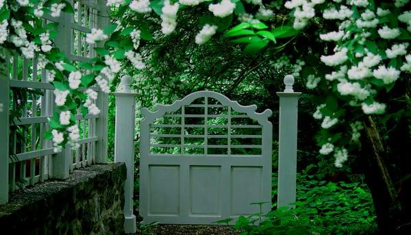 Trace Lawn & Landscaping