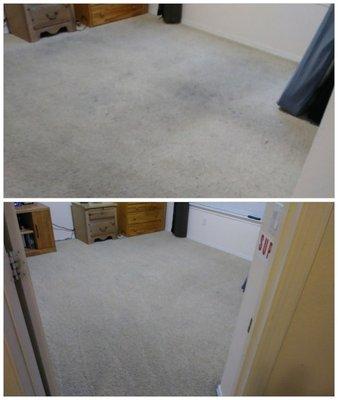 Quality Carpet Cleaning