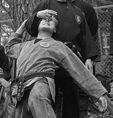 Sarasota Budo Taijutsu