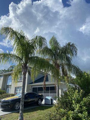 Nails Landscape & Design