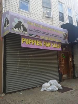 This is the address they must of stopped cooking puppies.