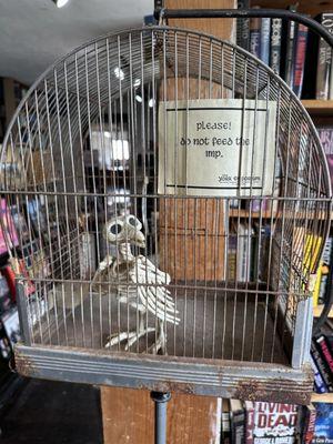 In Between Pages The Next Chapter of the York Emporium