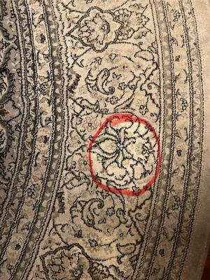 Ayoub N&H® Carpet