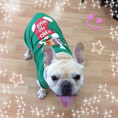 Mona Lisa Hair Studio