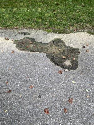 Got Paving