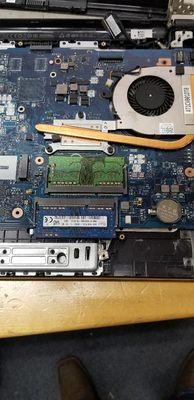 Laptop and computer repair. Curbside available.