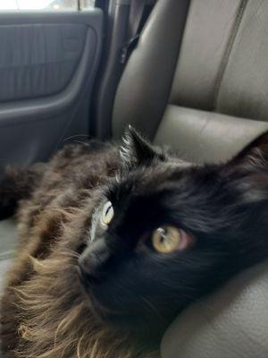 Right Price Auto Repair