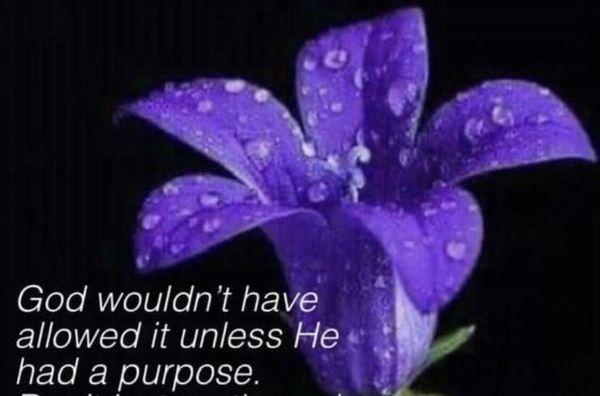 Lighthouse Baptist Church