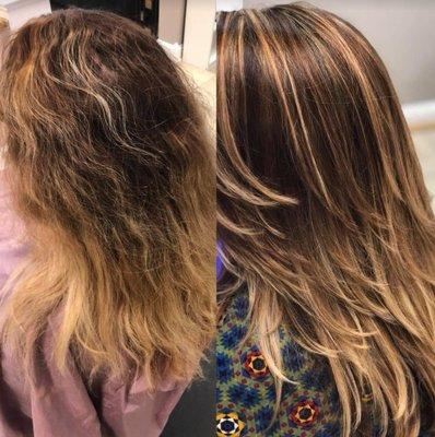 Color Expert. Call today to schedule your appointment (843) 709-2501