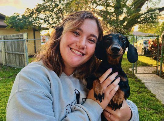 Town N Country Animal Hospital