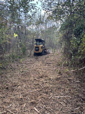 Yellow Ridge Land Management