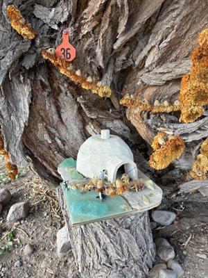 Little fairy garden behind the picnic tables!