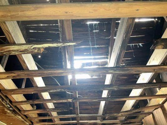 Pin Point Service, LLC