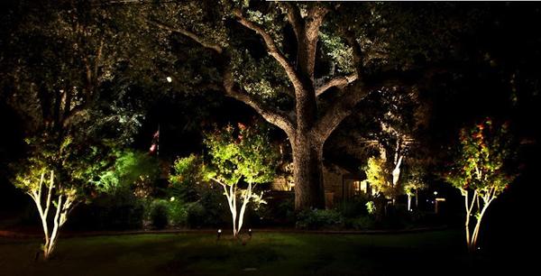 Lowcountry Vistas Native Landscape Design
