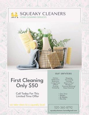 Squeaky Cleaners