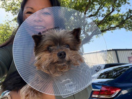 Winter Park Veterinary Hospital