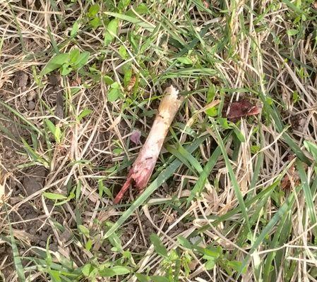 Grover Square Apartments