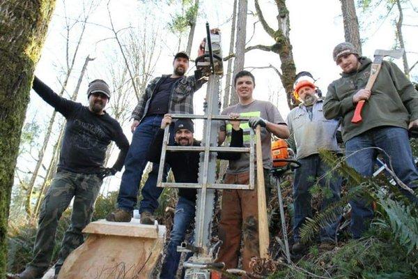 Live On Tree Service