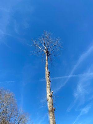 Sizemore Landscaping & Tree Removal