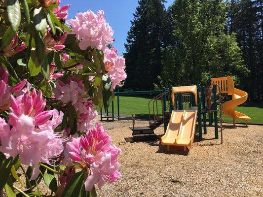 Boones Ferry Park