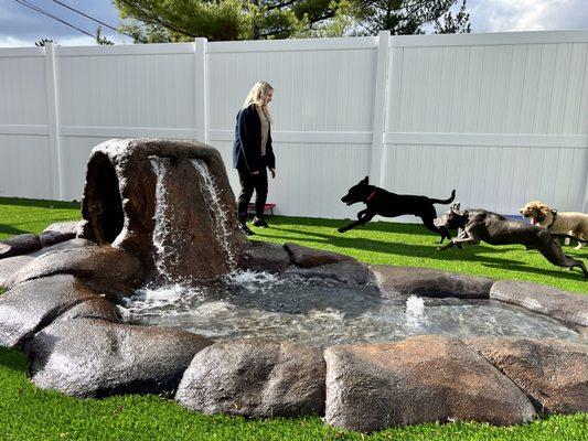 Camp Run-A-Mutt Columbus