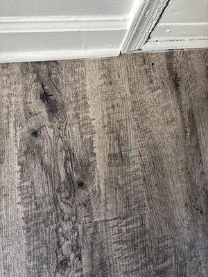 Veteran Gunn Services