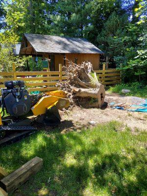 Quick and efficient Stump Removal!