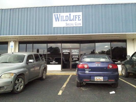 Wild Life Social Club