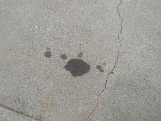 AutoNation Mobile Service