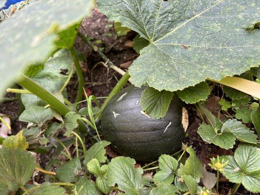 St Thomas the Apostle Preschool & Pre-K Learning Center