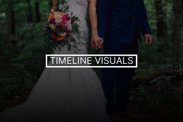 Timeline Visuals