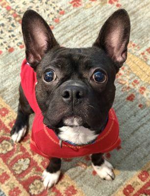 T Russell Reitz Regional Animal Shelter