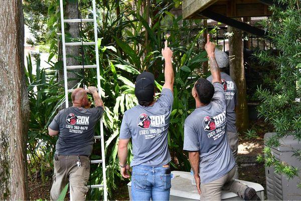 Cox Arboriculture Services