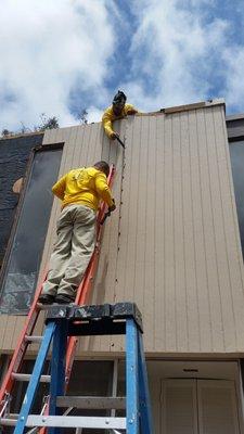 Two of our techs putting up wall siding 8x10. No task too great!