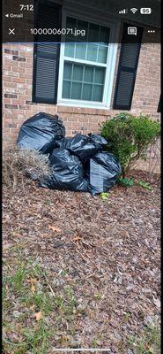 Effort Shines Quality Cleaning