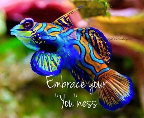 Life sometimes leaves us asking "Who Am I"? or "Where Do I Belong"?
Perhaps it's time for you to
"Embrace Your "You"ness"!
