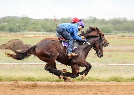 4C Breaking and Training