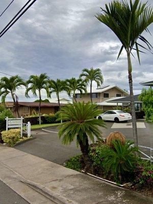 Apex Endodontics parking