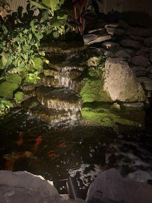 Scenic Landscapes Water Garden Nursery