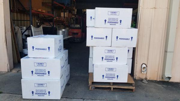 Ready for the airport!