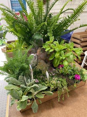 Greenhouse I I
