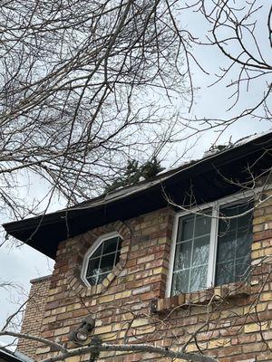 SavATree Salt Lake City