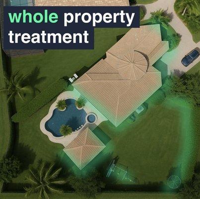 Whole Property Pest Treatment Services
