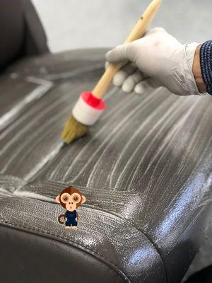 We literally give your vehicle the spa treatment