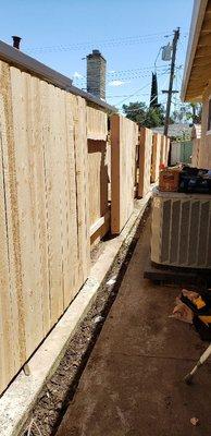 Tree and Landscape Pros