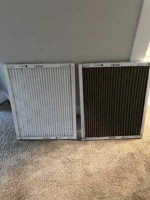 Handy Mane Contractors